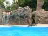 Tenerife_358.jpg - 2007:01:27 16:05:42