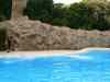 Tenerife_360.jpg - 2007:01:27 16:05:52