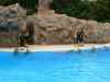 Tenerife_361.jpg - 2007:01:27 16:06:06