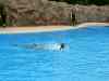 Tenerife_362.jpg - 2007:01:27 16:06:19