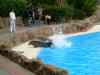 Tenerife_367.jpg - 2007:01:27 16:07:33
