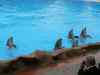 Tenerife_368.jpg - 2007:01:27 16:07:49