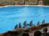 Tenerife_370.jpg - 2007:01:27 16:08:07
