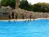 Tenerife_372.jpg - 2007:01:27 16:08:24