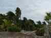 Tenerife_373.jpg - 2007:01:27 16:10:58