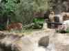 Tenerife_375.jpg - 2007:01:27 16:12:31