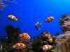 Tenerife_394.jpg - 2007:01:27 16:42:20