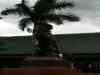 Tenerife_406.jpg - 2007:01:27 16:57:38