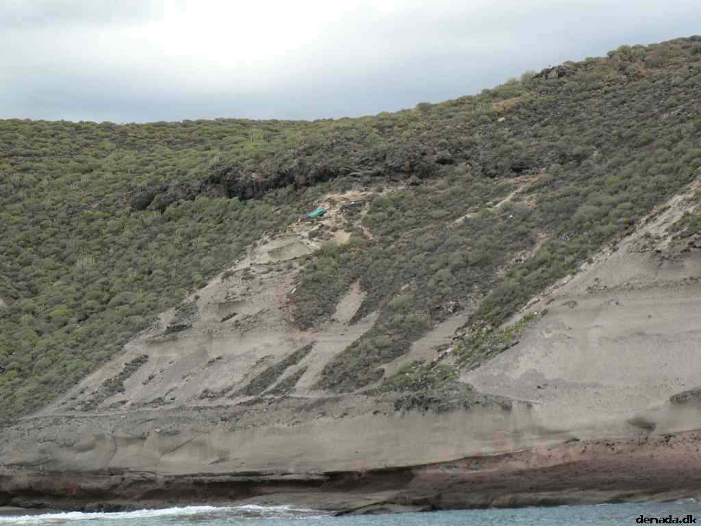 * Image 53