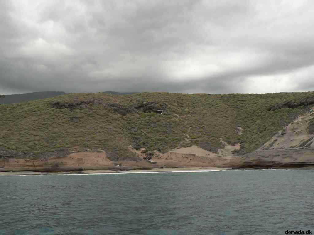 * Image 61