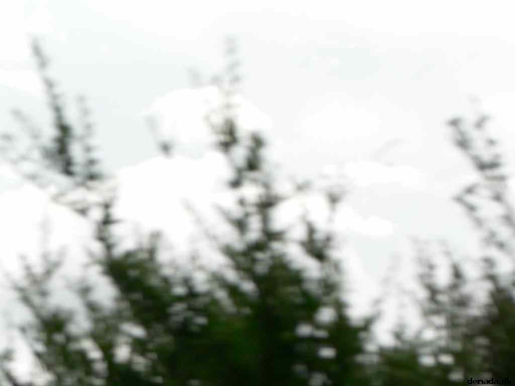 * Image 76