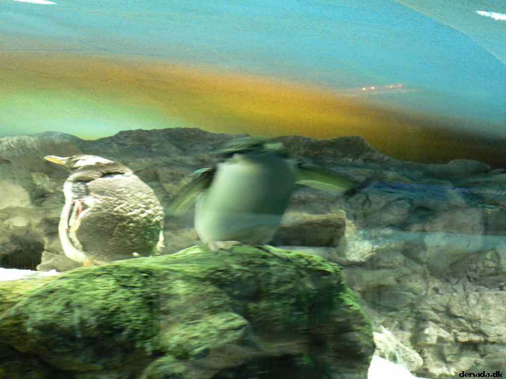 * Image 150