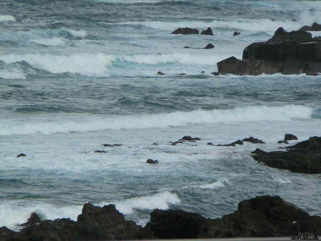 * Image 177