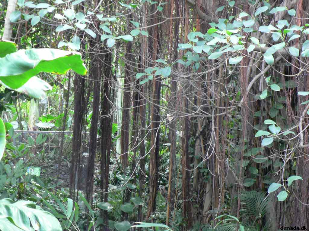 * Image 178