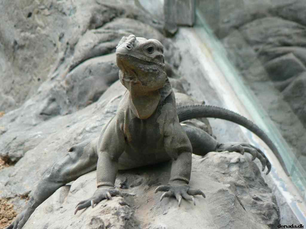 * Image 184