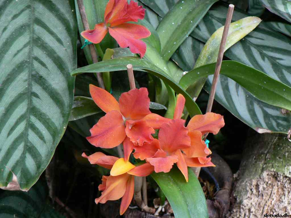 * Image 190