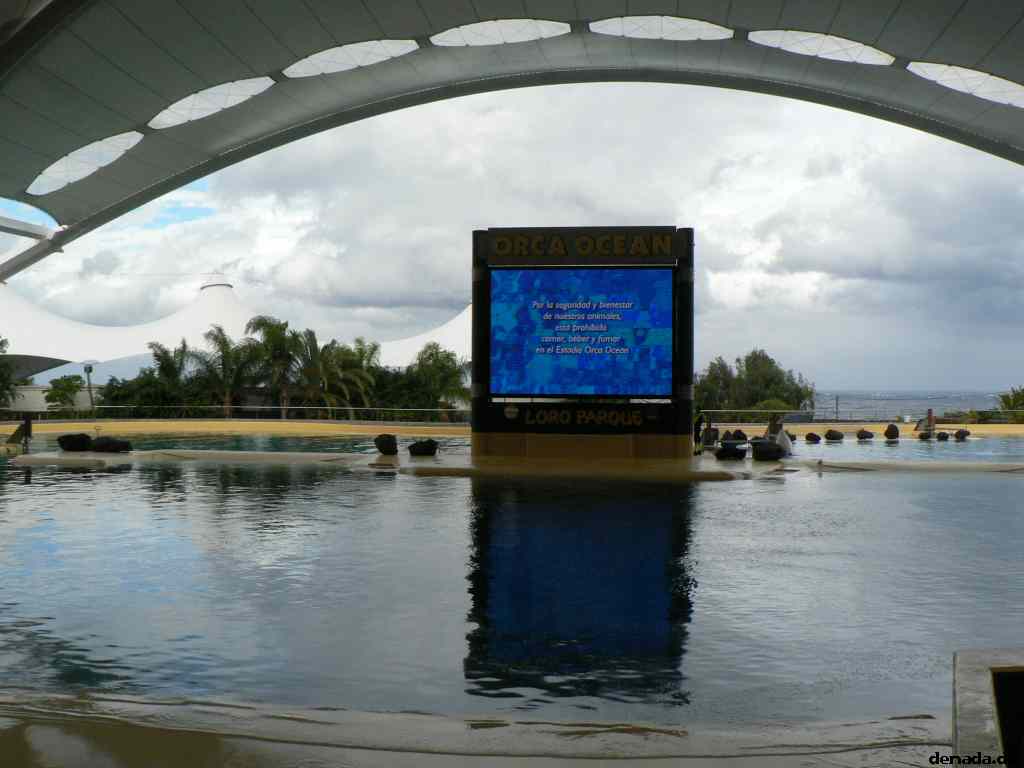 * Image 206