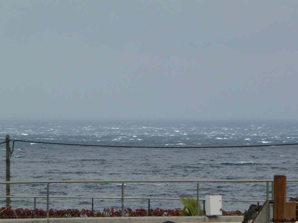 * Image 207