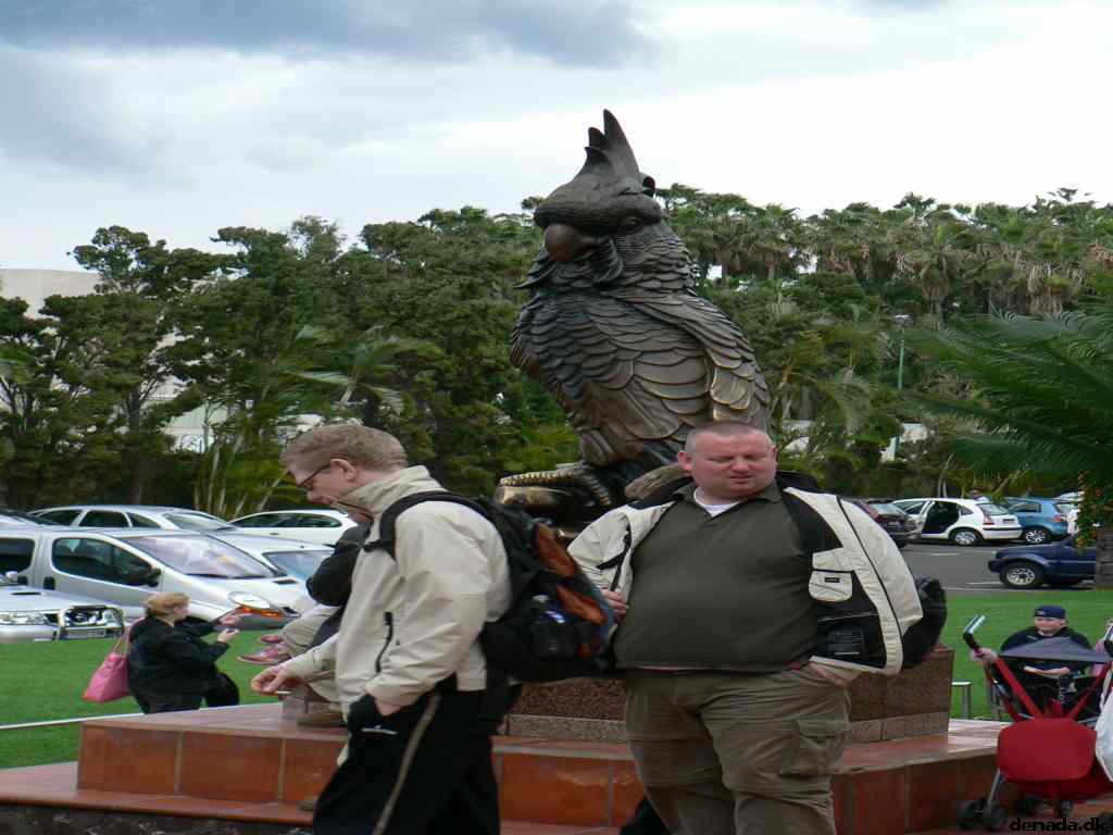 * Image 402