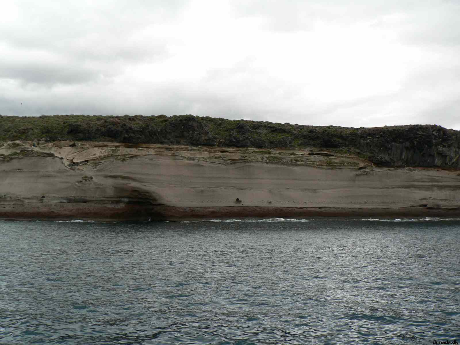 * Image 50