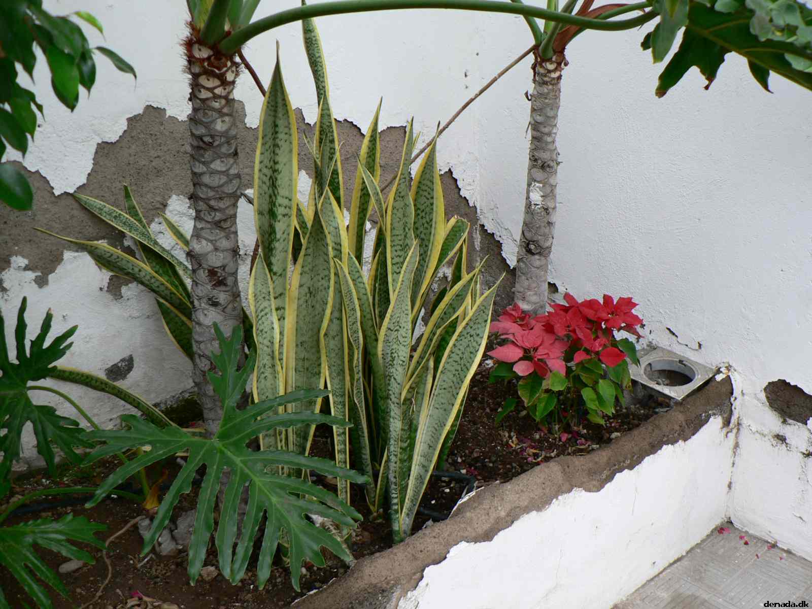 * Image 70
