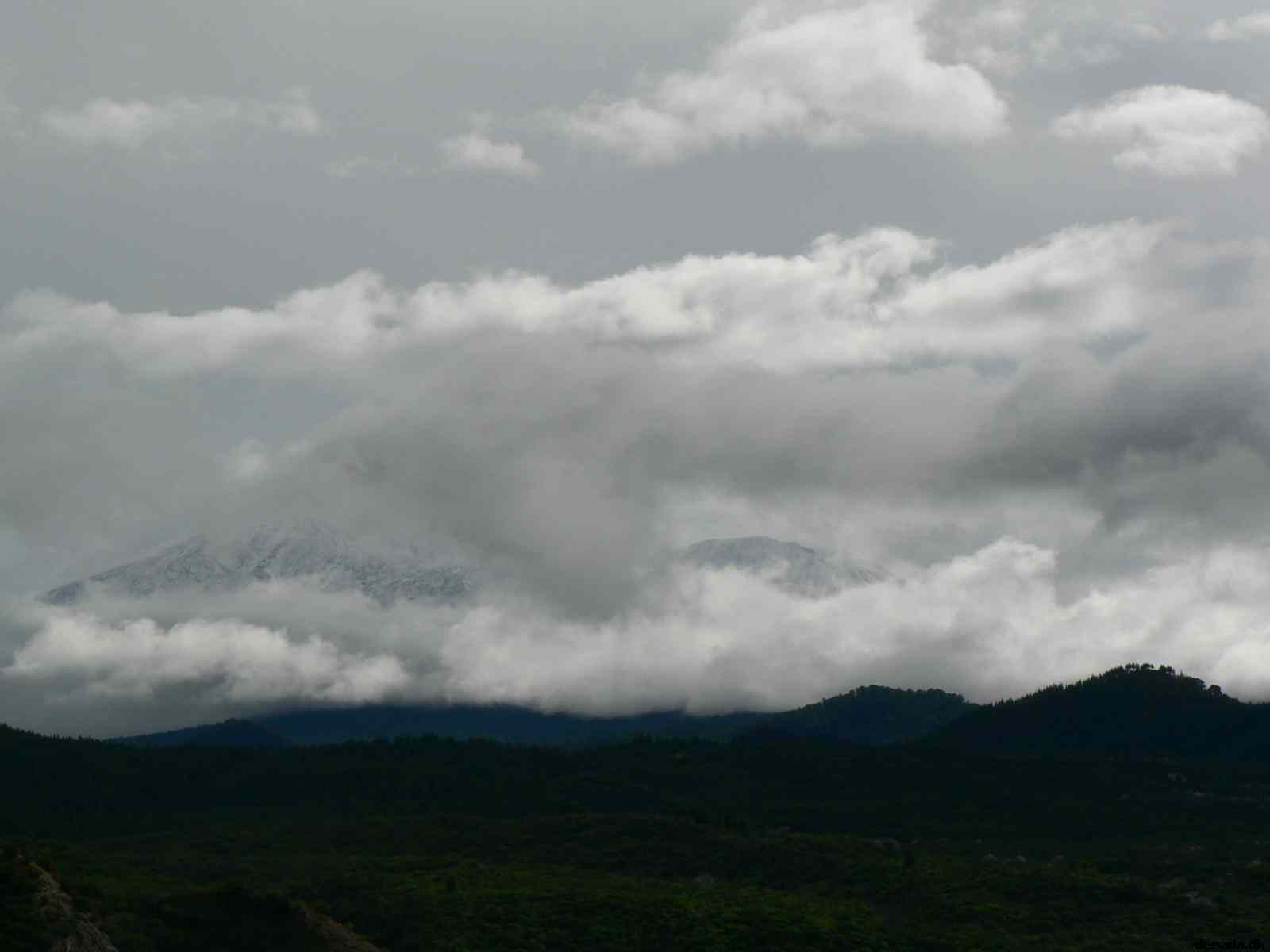 * Image 78