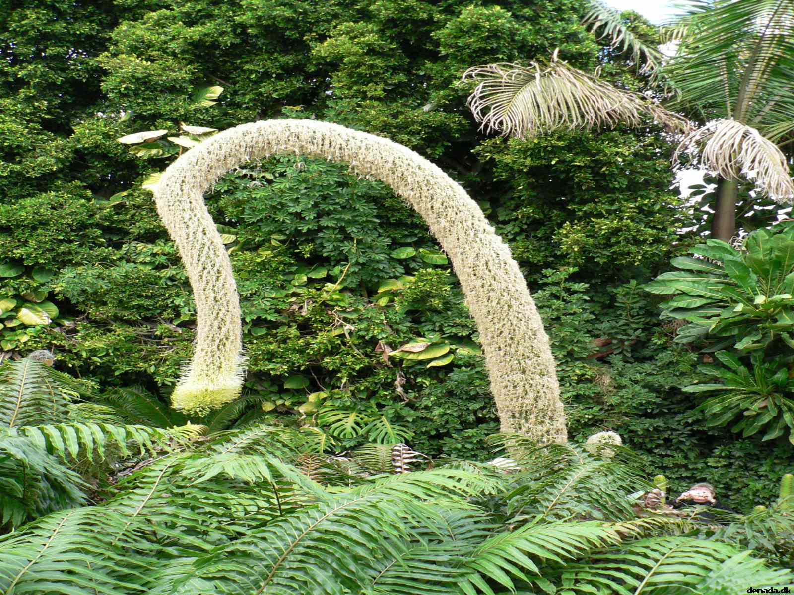 * Image 182