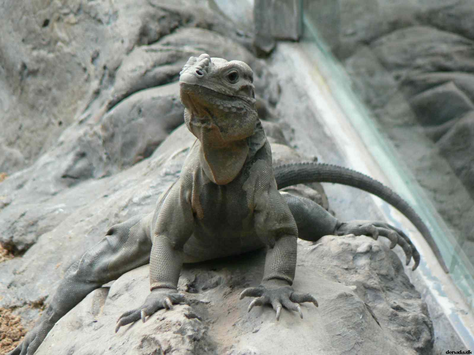 * Image 184