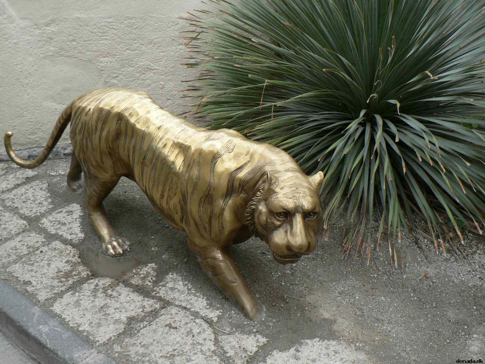 * Image 289