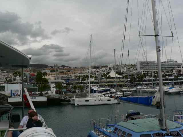 * Image 23