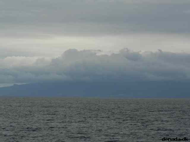 * Image 32