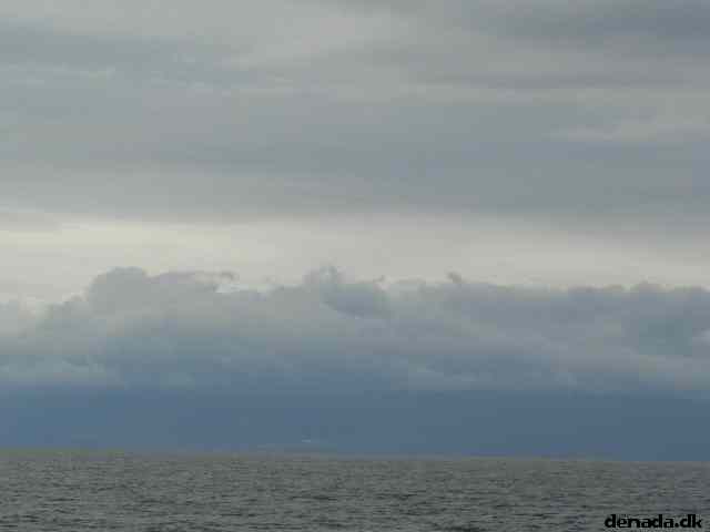 * Image 33