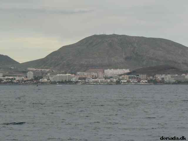* Image 37