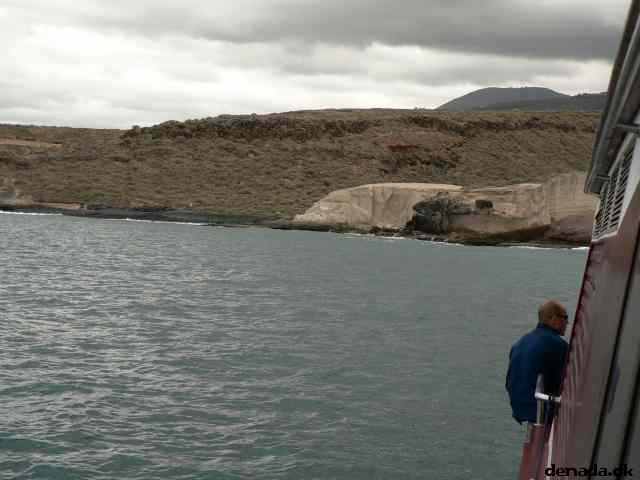 * Image 49