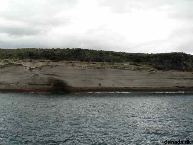 * Image 50