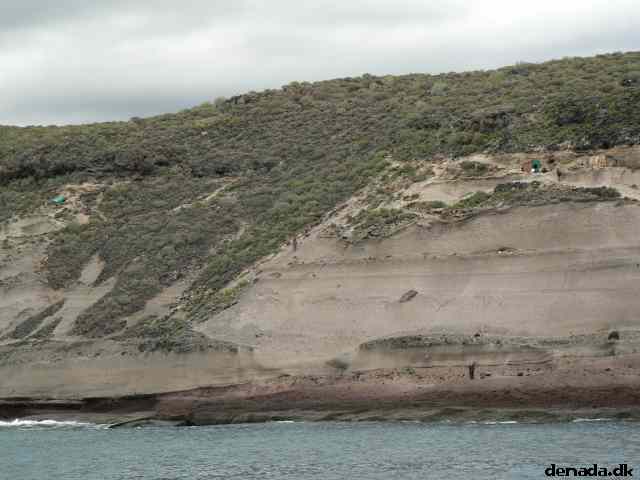 * Image 64