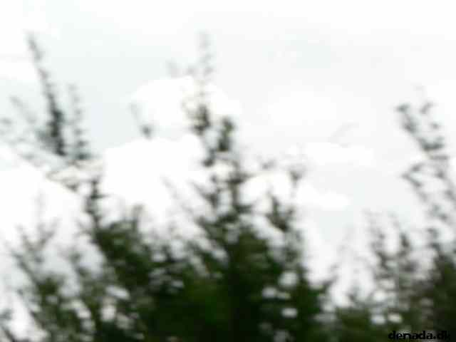 * Image 76