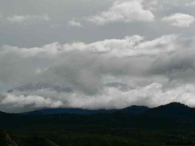 * Image 78