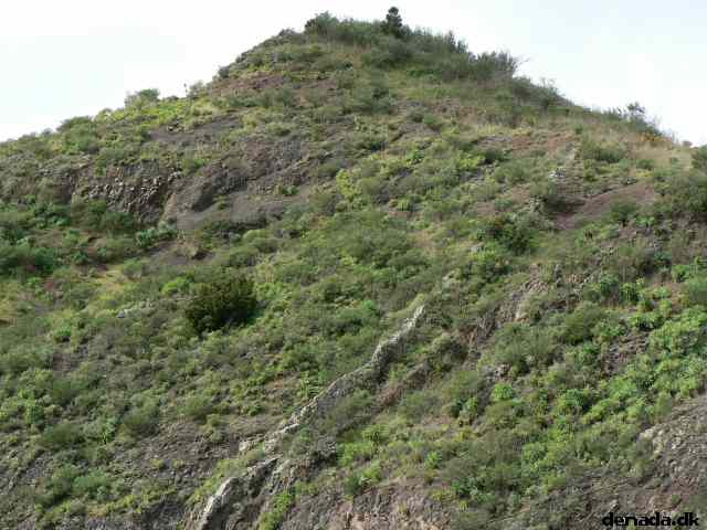 * Image 82