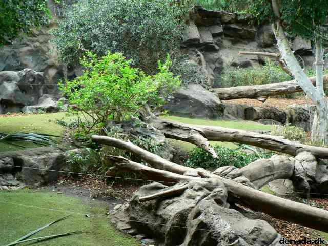 * Image 99