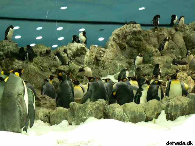 * Image 119
