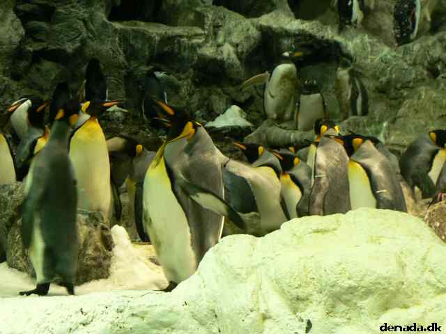 * Image 128