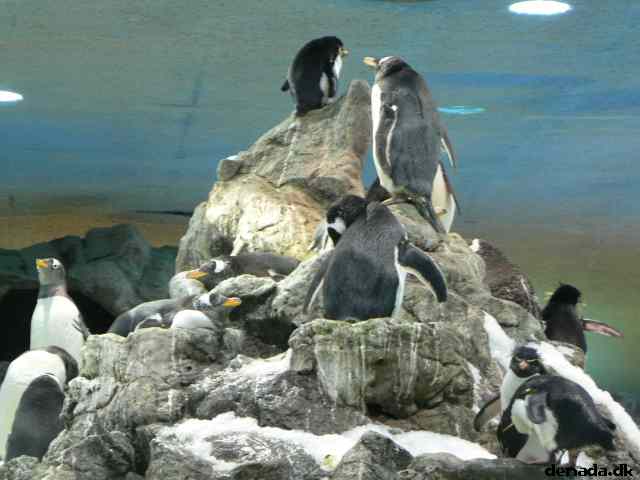 * Image 140