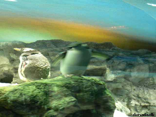 * Image 150
