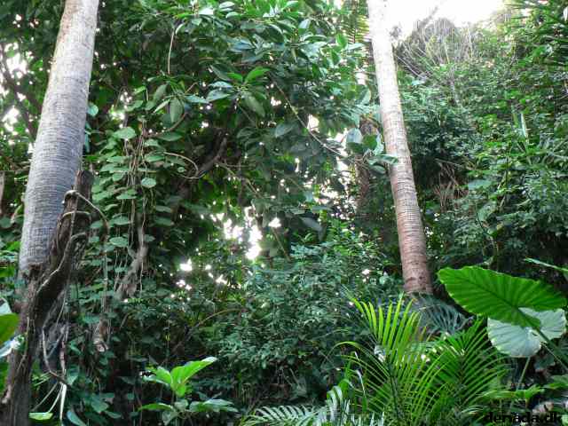 * Image 171