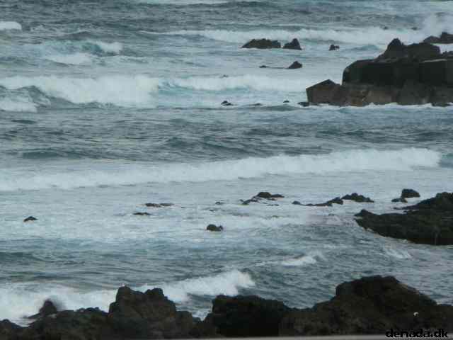 * Image 177