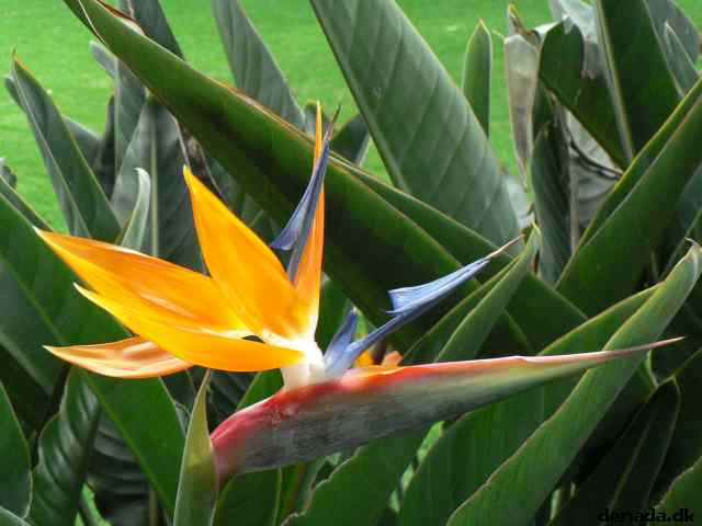 * Image 189