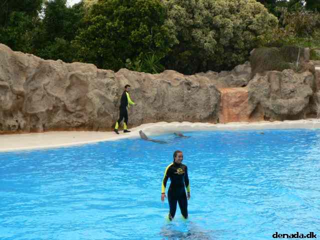 * Image 361