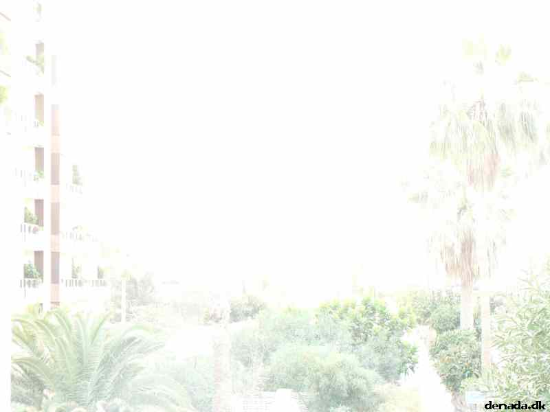 * Image 3