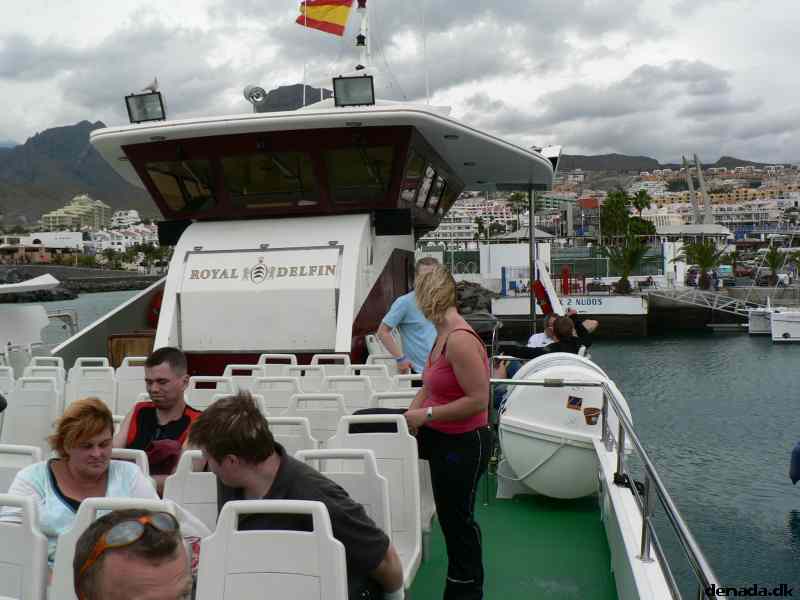 * Image 24